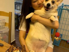 德州扑克在线APP:张致恒塔房是怎么回事?其未婚妻如何回应!【大发扑克】