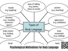 德州扑克游戏:《卡罗的马脚大全》精华内容总结,一篇文章读懂一本书!【EV扑克】