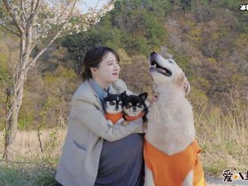 德州扑克在线APP:具惠善将隐退?为何与安宰贤的婚姻如此短暂?【大发扑克】