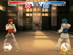 德州扑克技巧:大发娱乐跆拳道游戏全新上线:巅峰格斗,燃爆你的竞技灵魂