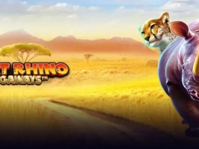 德州扑克技巧:大发娱乐《巨大犀牛加强版》最新版本