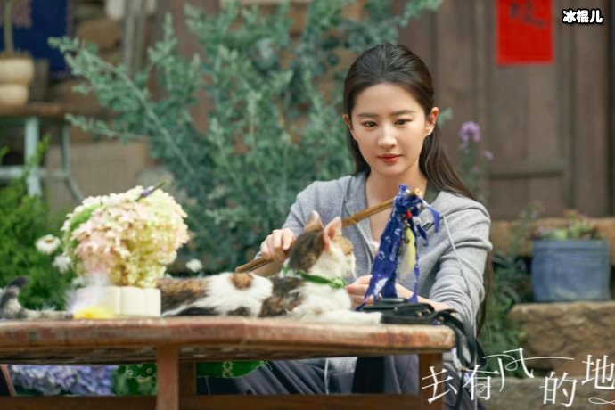 去有风的地方原着小说叫什么,去有风的地方是小说改编的？