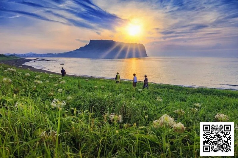 别Till，来Jeju Chill——必去景点+路线打包+管家制定