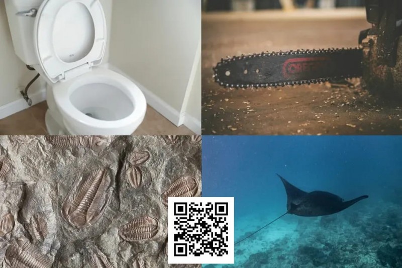 扑克界谁的绰号最炸裂：电锯、魔鬼鱼、石化人、马桶？