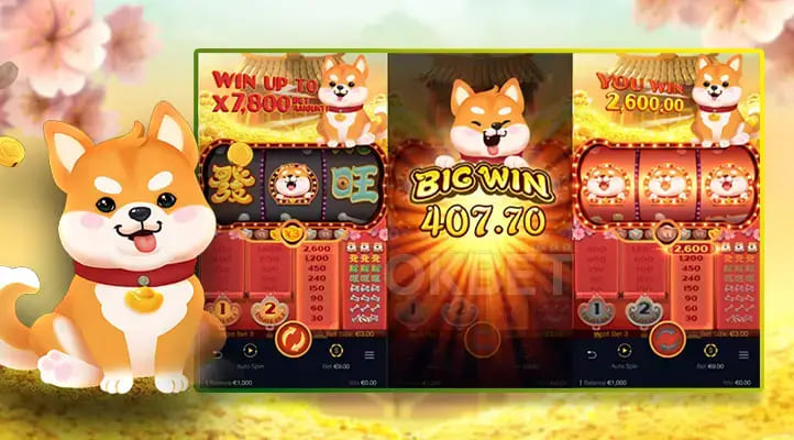 德州扑克技巧：旺旺旺老虎机——大发娱乐上的喜庆娱乐人气之选