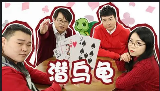 德州扑克技巧：大发娱乐全新上线：《潜乌龟》——智者的纸牌战场