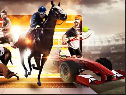 德州扑克技巧:大发娱乐《百练赛》:巅峰竞技,燃爆全场的英雄对决!